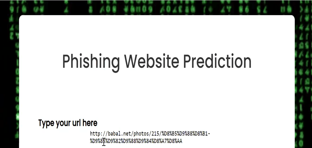 Screenshot of Phishing Detection Website